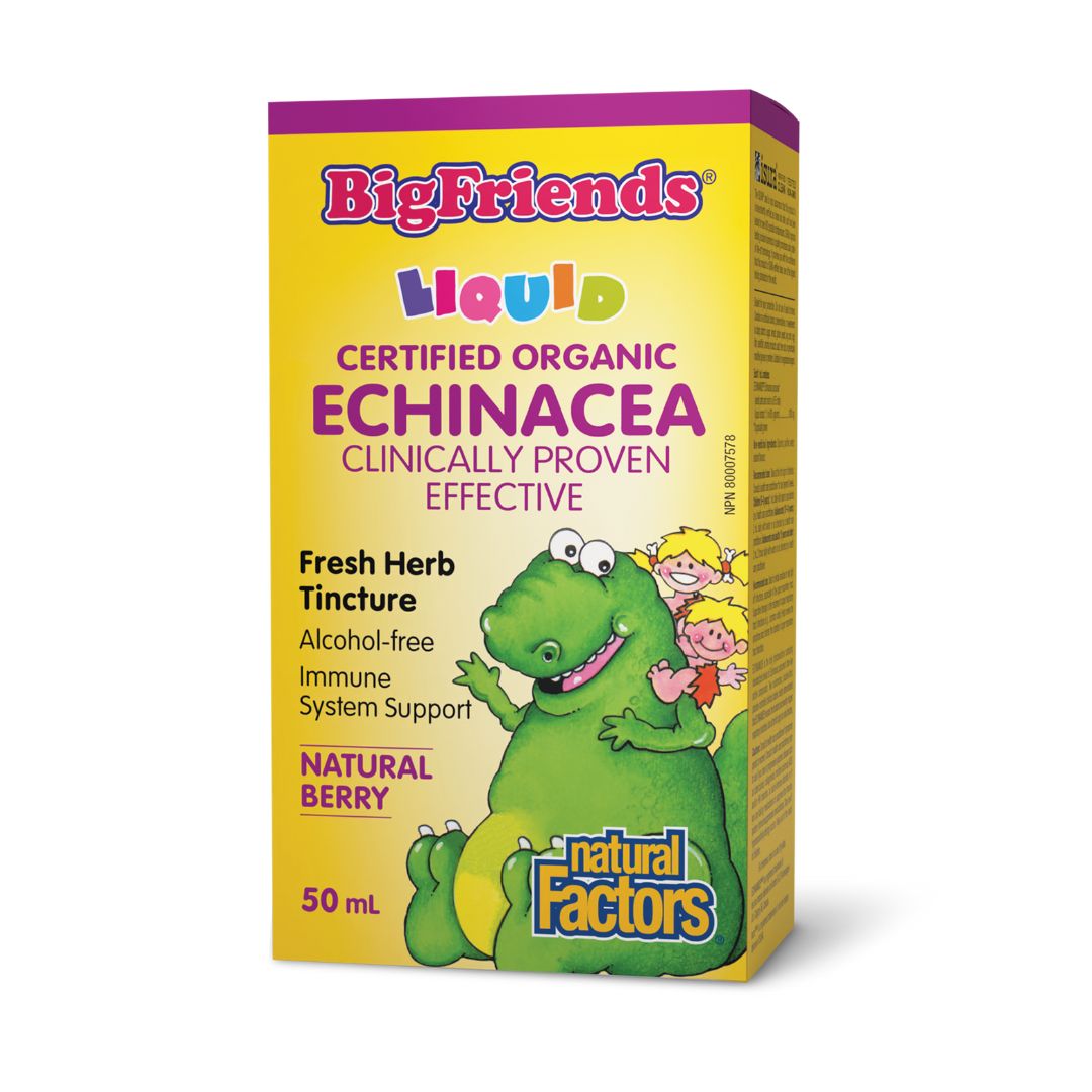 Natural Factors Big Friends Echinacea (50ml) - Lifestyle Markets