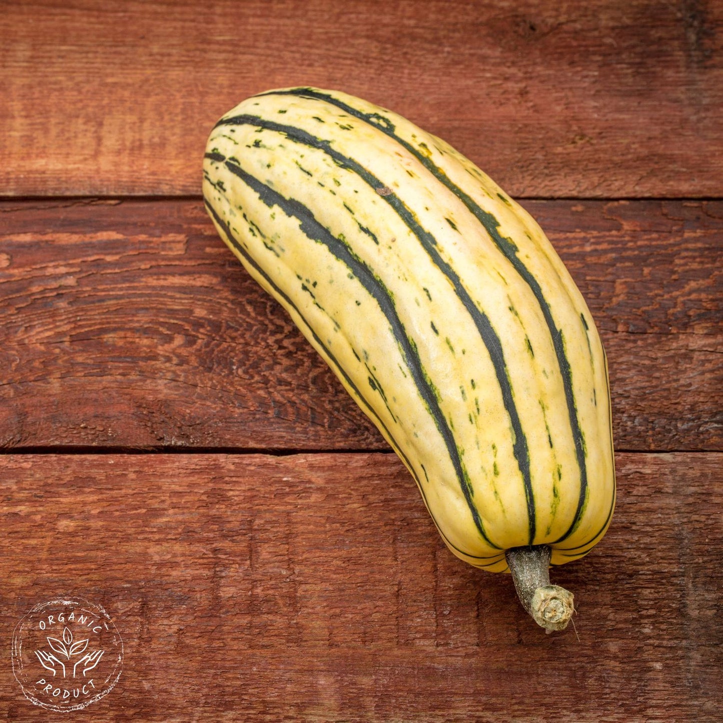 Certified Organic Delicata Squash (per kg)