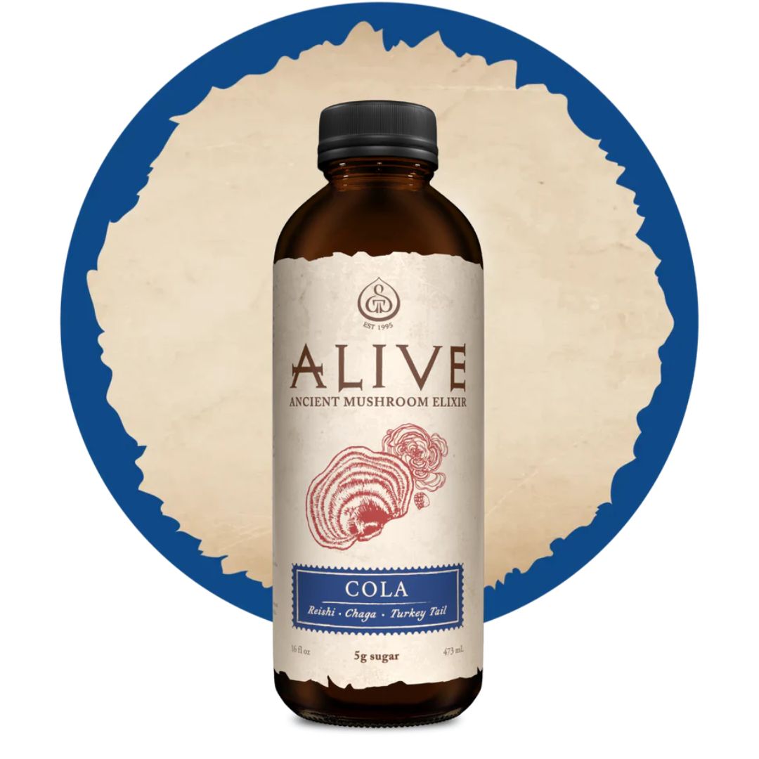 GT's Alive - Cola (480ml)