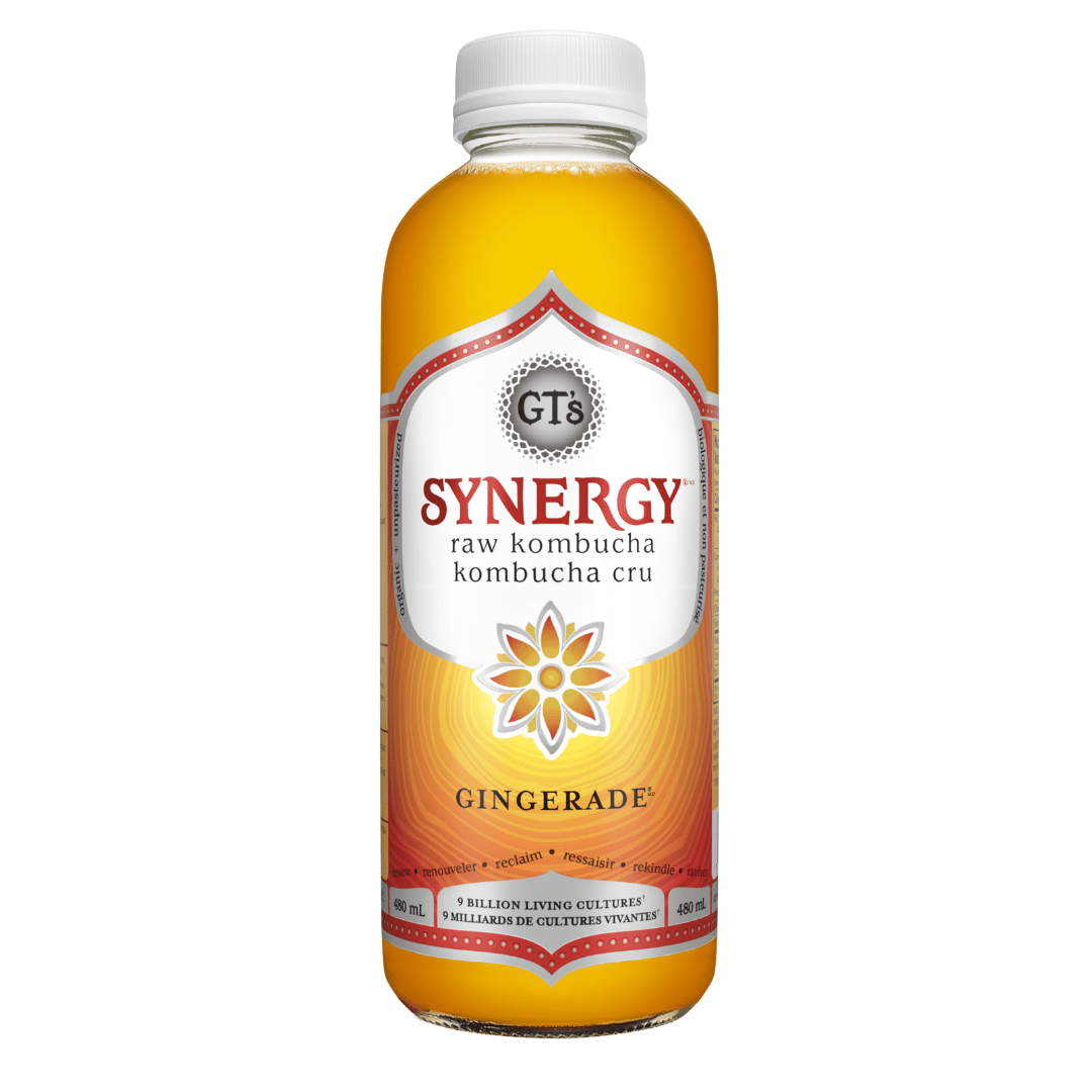 GT's Kombucha - Gingerade (480ml)