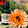 Sea Wench Essential Oil Blend - Calm (15ml)