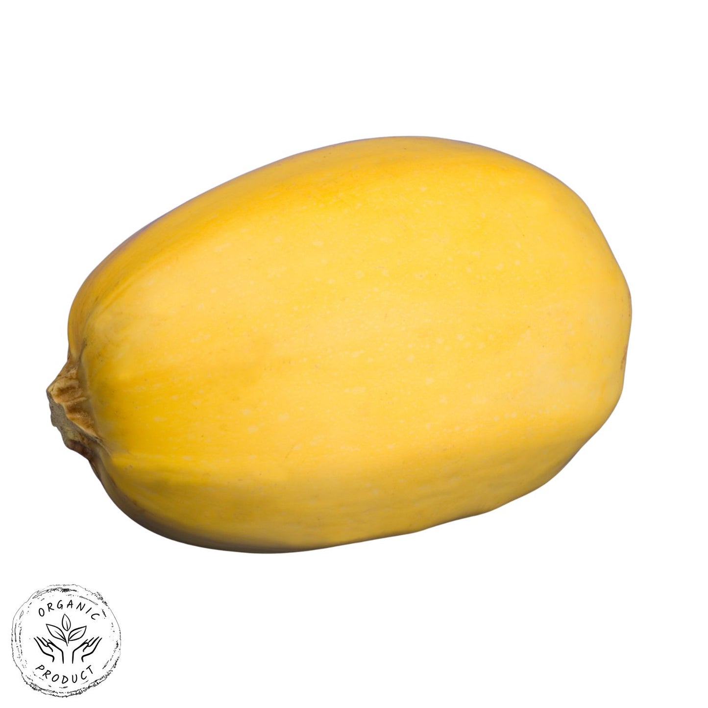 Certified Organic Spaghetti Squash (per kg)