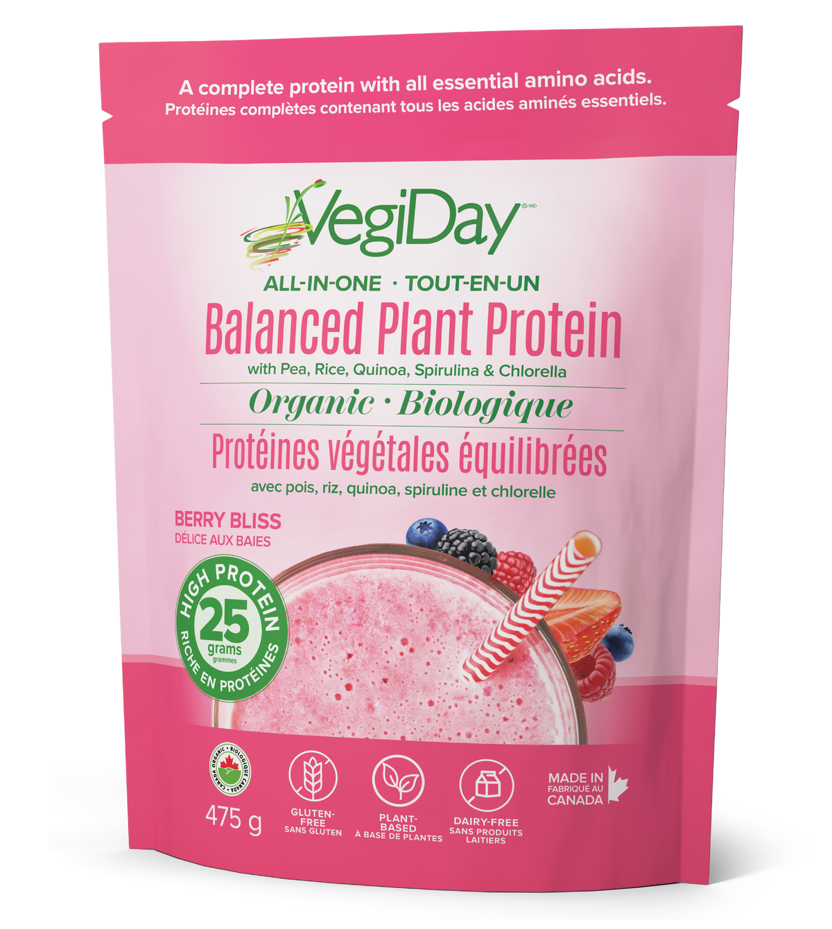 VegiDay All-in-one Plant Protein, Berry (475g)