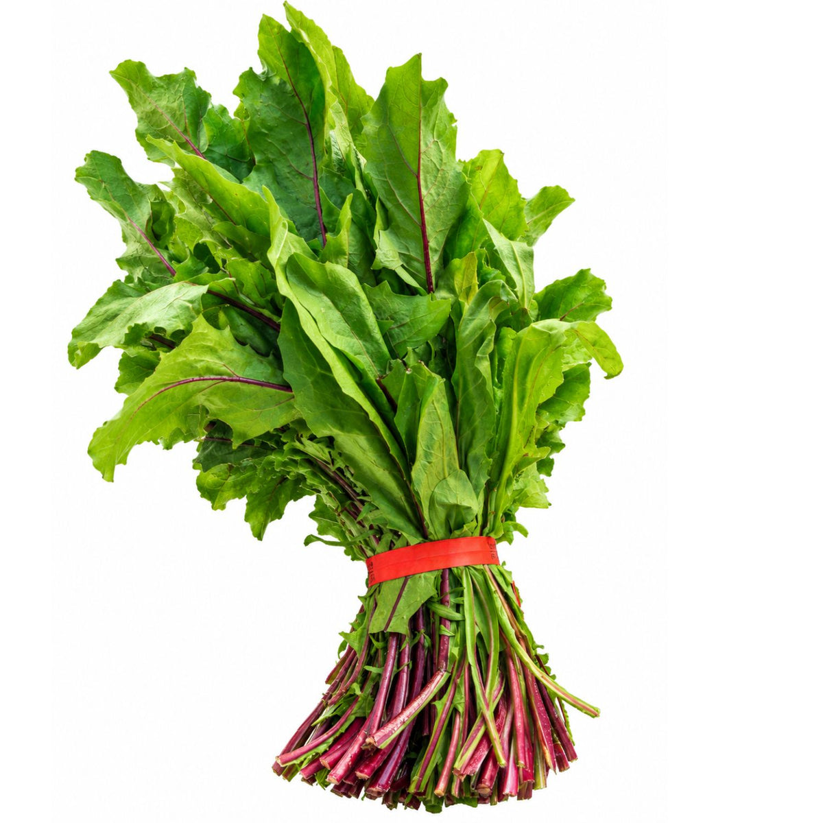 Certified Organic Dandelion Reds (each)