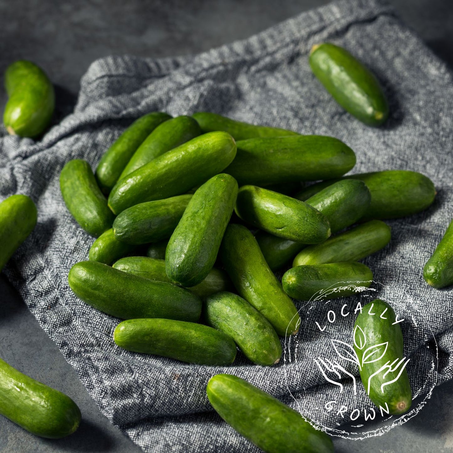 Certified Organic LOCAL Cucumber Mini (454g Bag)