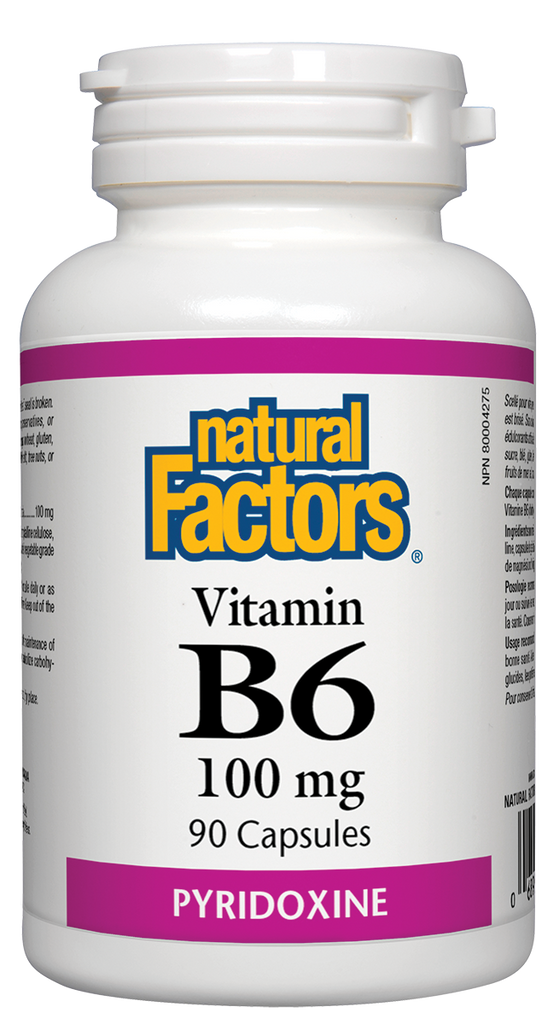 Natural Factors Vitamin B-6 (100mg) (90 Capsules) - Lifestyle Markets