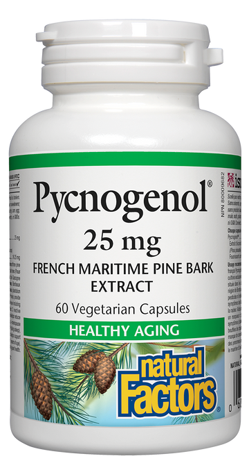 Natural Factors Pycnogenol (25mg) (60 Vegetarian Capsules) - Lifestyle Markets