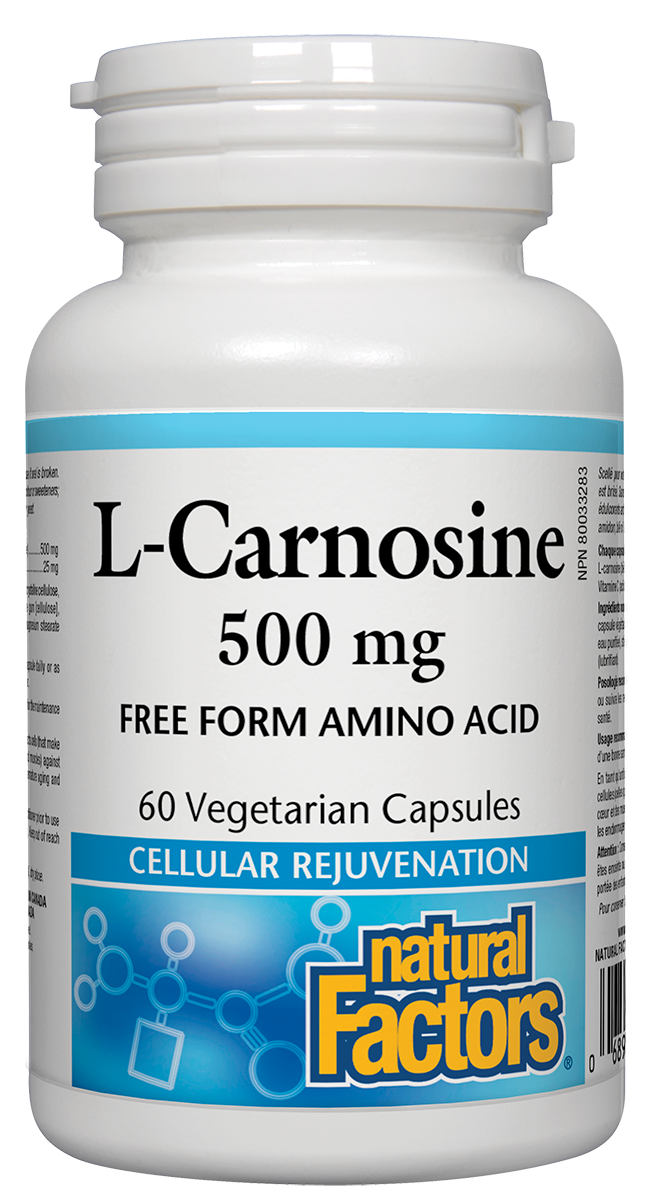Natural Factors L-Carnosine (500mg) (60 VCaps) - Lifestyle Markets