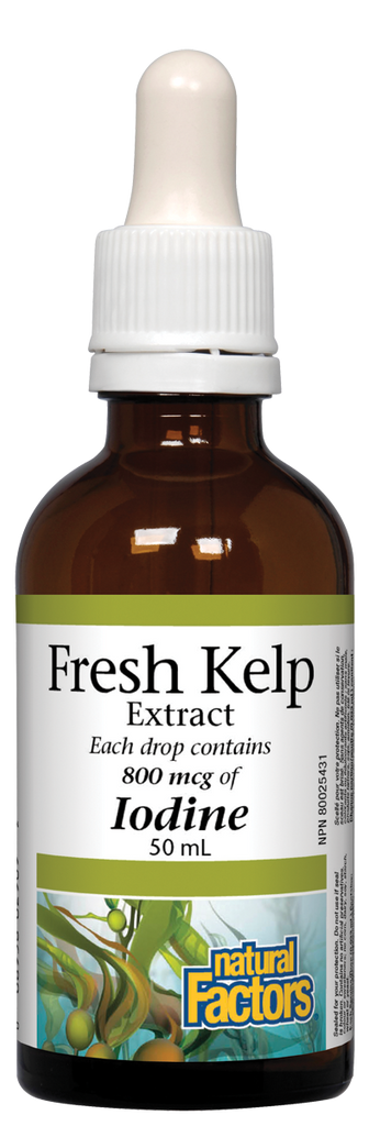 Natural Factors Fresh Kelp Extract (50ml) - Lifestyle Markets