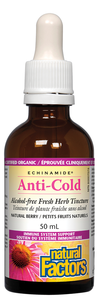 Natural Factors Echinamide Berry Flavoured Alcohol Free Tincture (50ml) - Lifestyle Markets