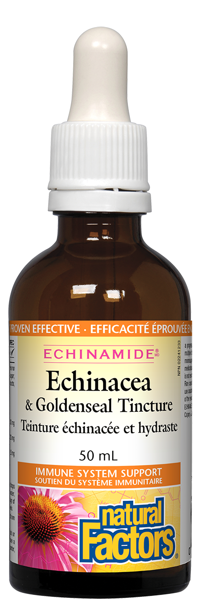 Natural Factors Echinamide Echinacea & GoldenSeal Tincture (50ml) - Lifestyle Markets