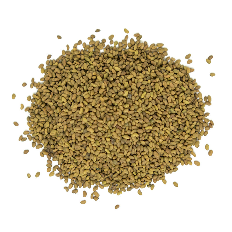 Lifestyle Markets Organic Alfalfa Seeds (100g) - Lifestyle Markets