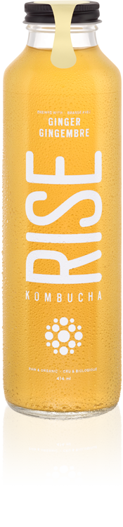 Rise Kombucha - Ginger (414ml) - Lifestyle Markets