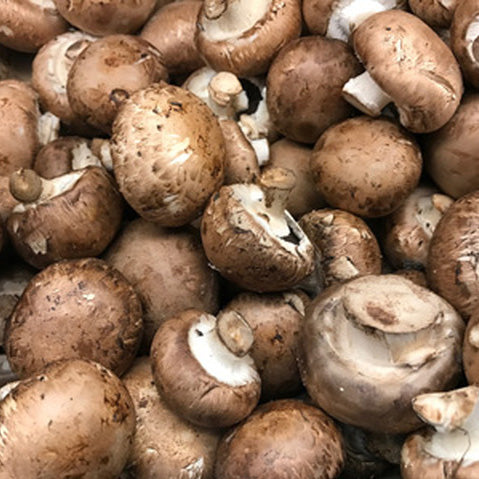 Certified Organic Crimini Mushrooms (4 pcs. approx 100g) - Lifestyle Markets