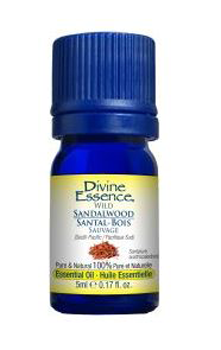 Divine Essence Wild Sandalwood (5ml) - Lifestyle Markets
