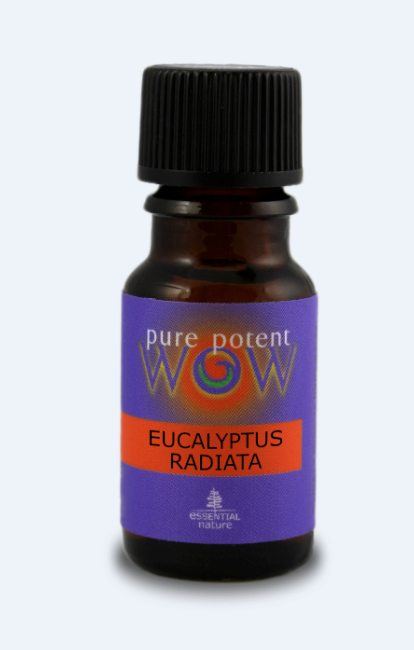 Pure Potent WOW Pure Essential Oil - Eucalyptus Radiata (12ml) - Lifestyle Markets