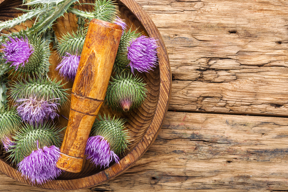 Top 10 Benefits of Using Milk Thistle Supplements