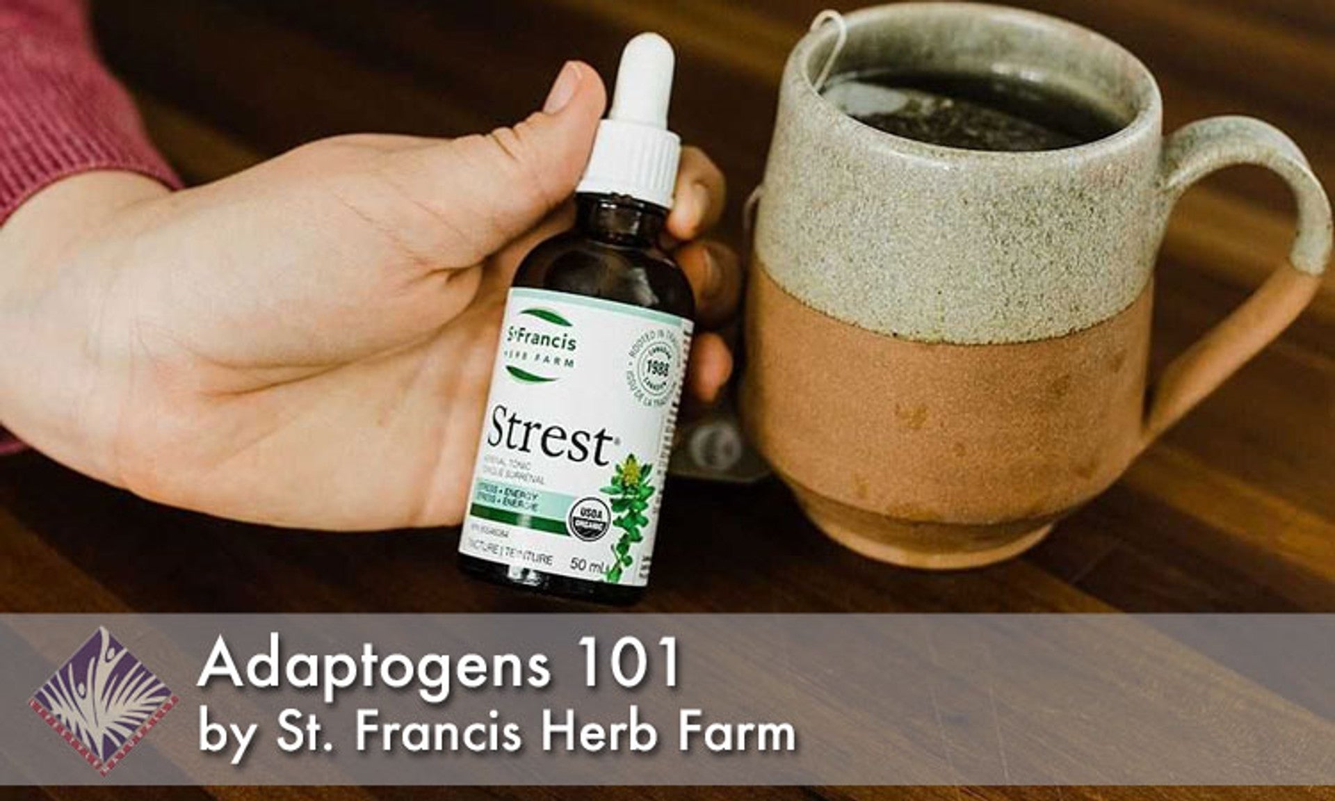 Adaptogens 101 – What Are They, And How Do They Work?