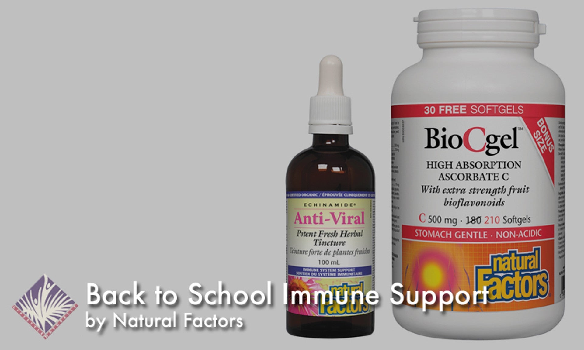 Back to School Immune Support