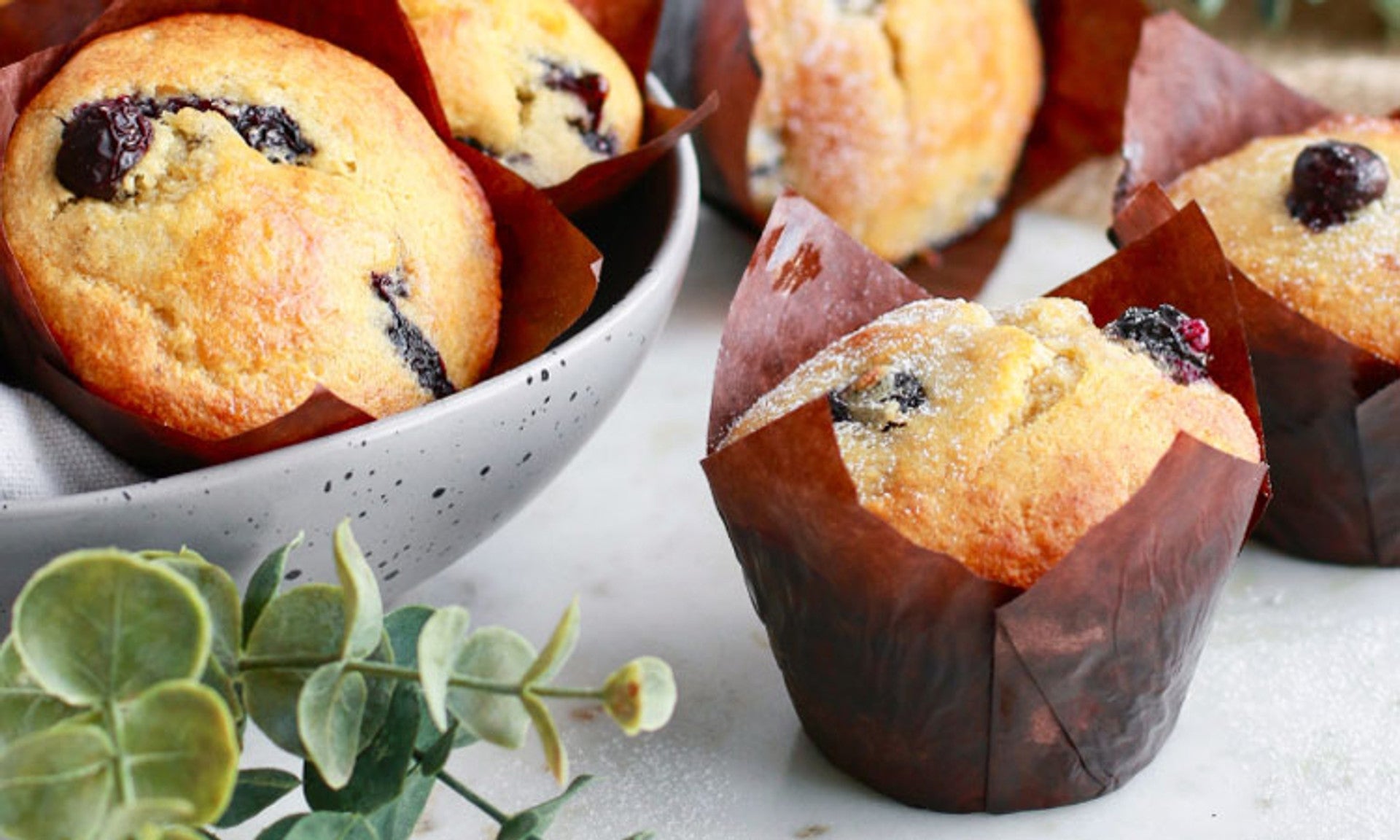 Blueberry Banana Muffins with Collagen