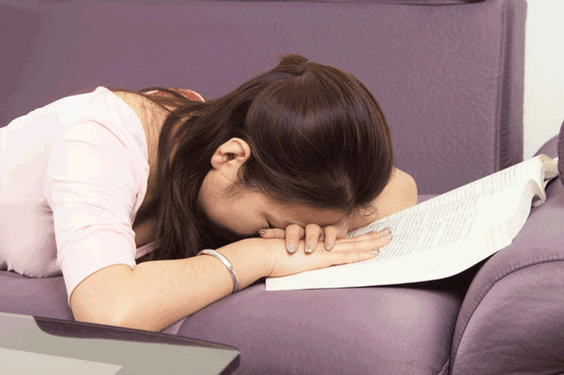 Put Insomnia to Rest