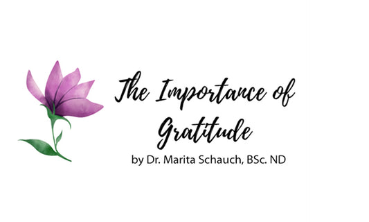 The Importance of Gratitude