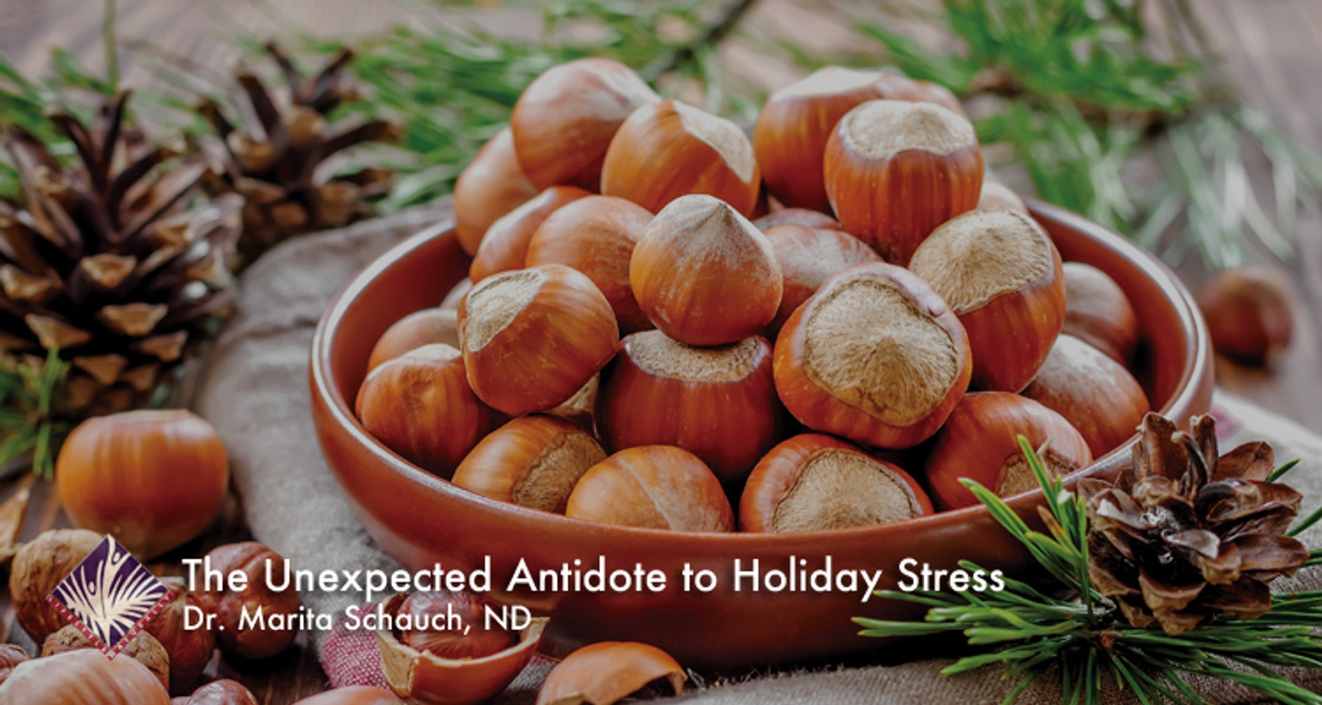 The Unexpected Antidote to Holiday Stress