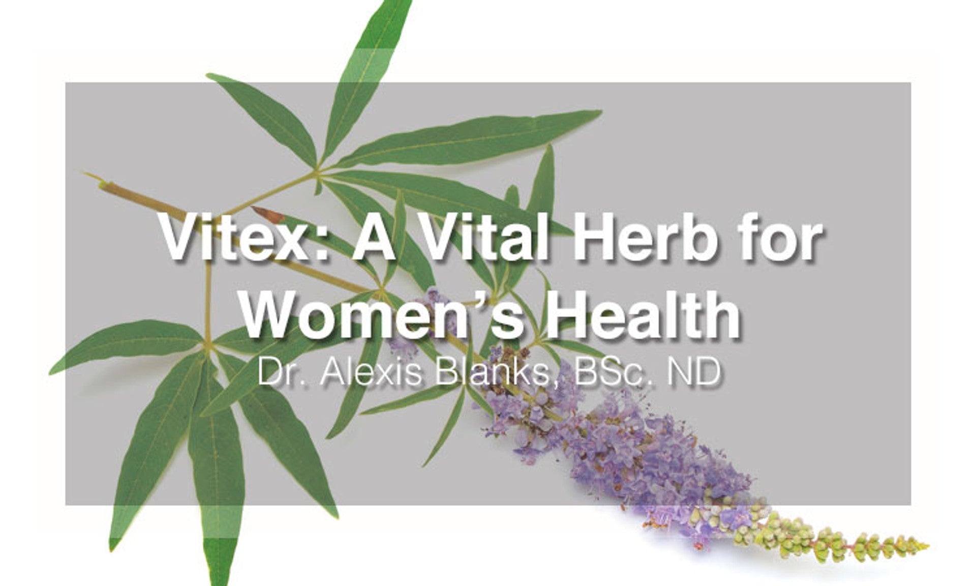 Vitex: A Vital Herb for Women's Health