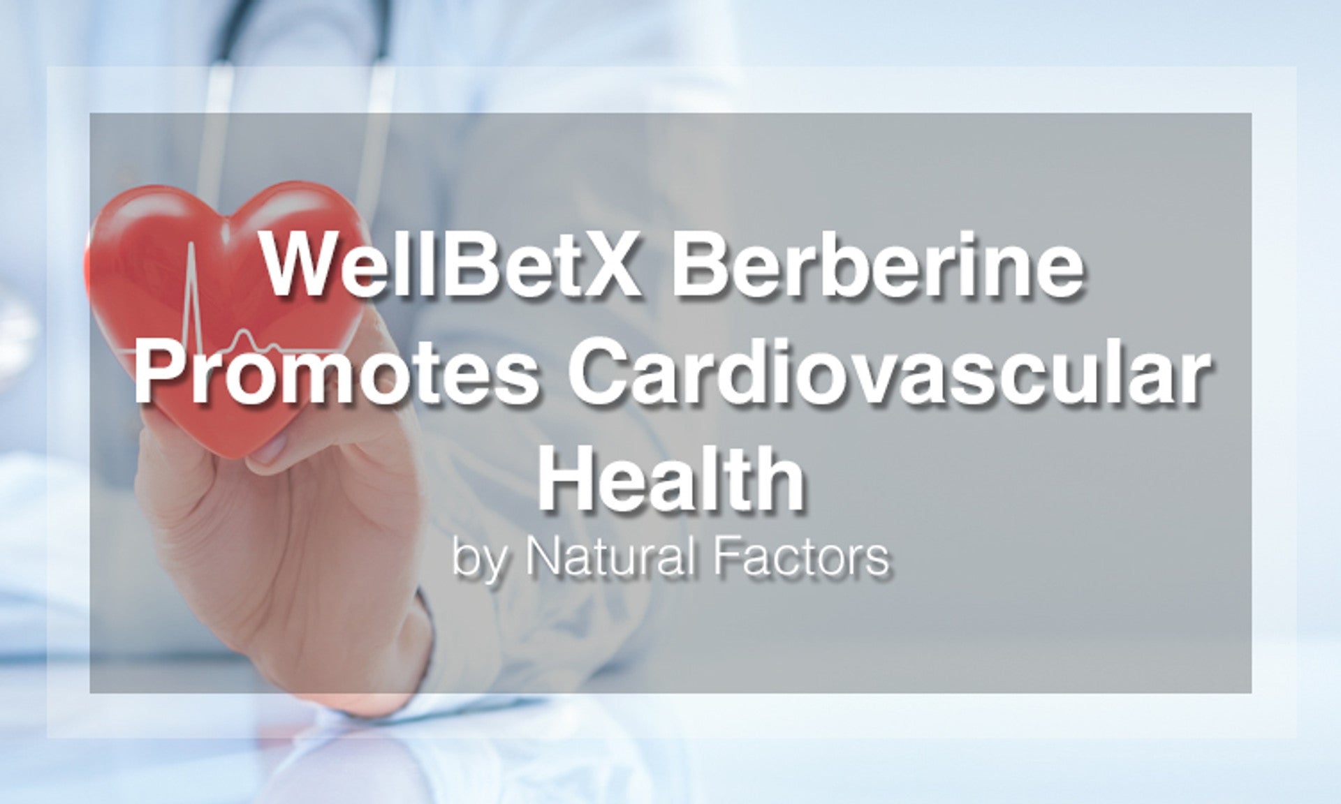 WellBetX Berberine Promotes Cardiovascular Health