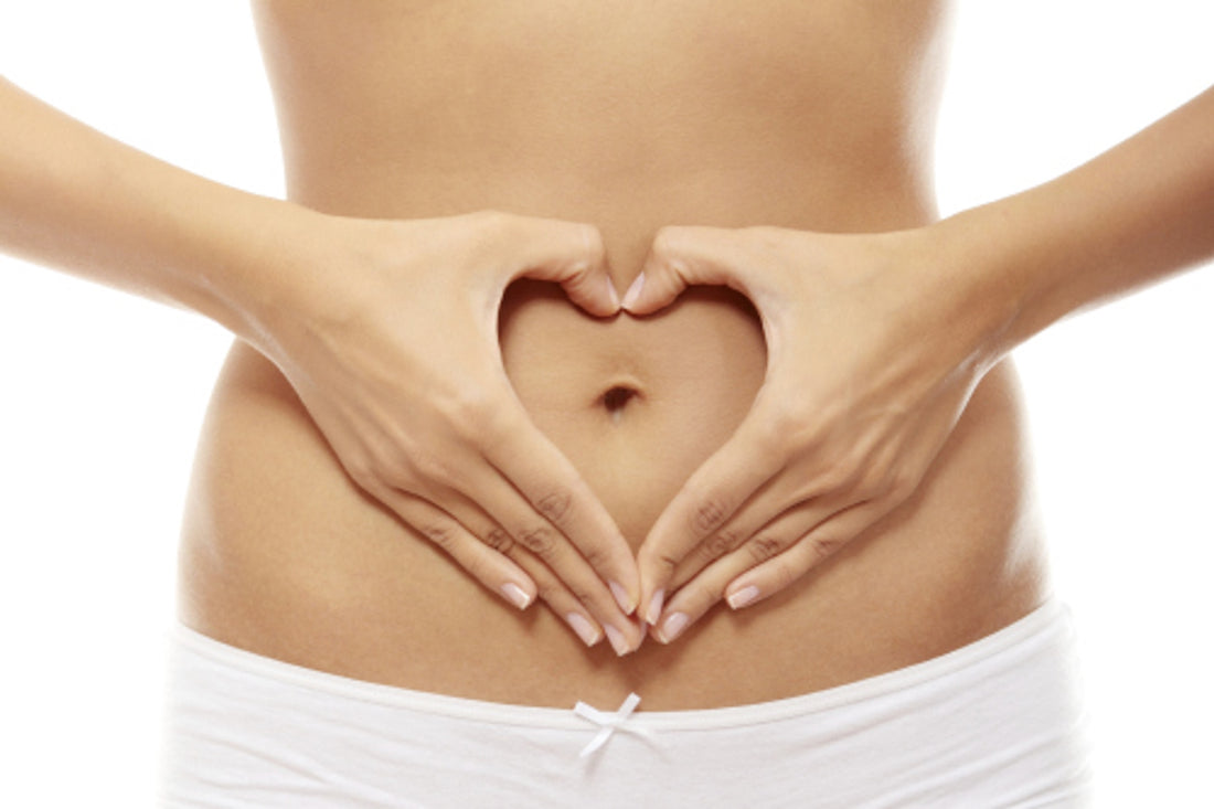 What is the Gut-Brain Connection?