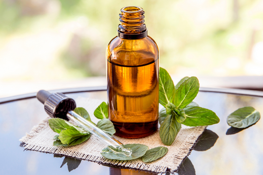 Everything You Need To Know About Natural Factors Anti-Viral Tincture