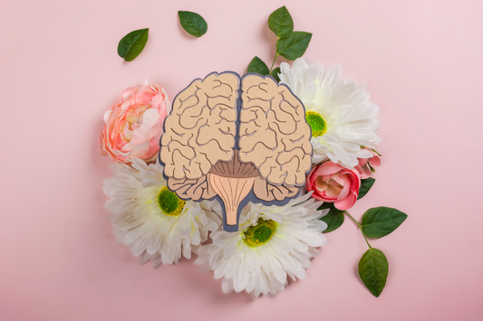 Alzheimer’s Prevention: Lifestyle Tips for a Healthy Brain