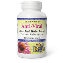 Natural Factors Echinamide Anti-Viral Potent Fresh Herbal Extract (Softgels)