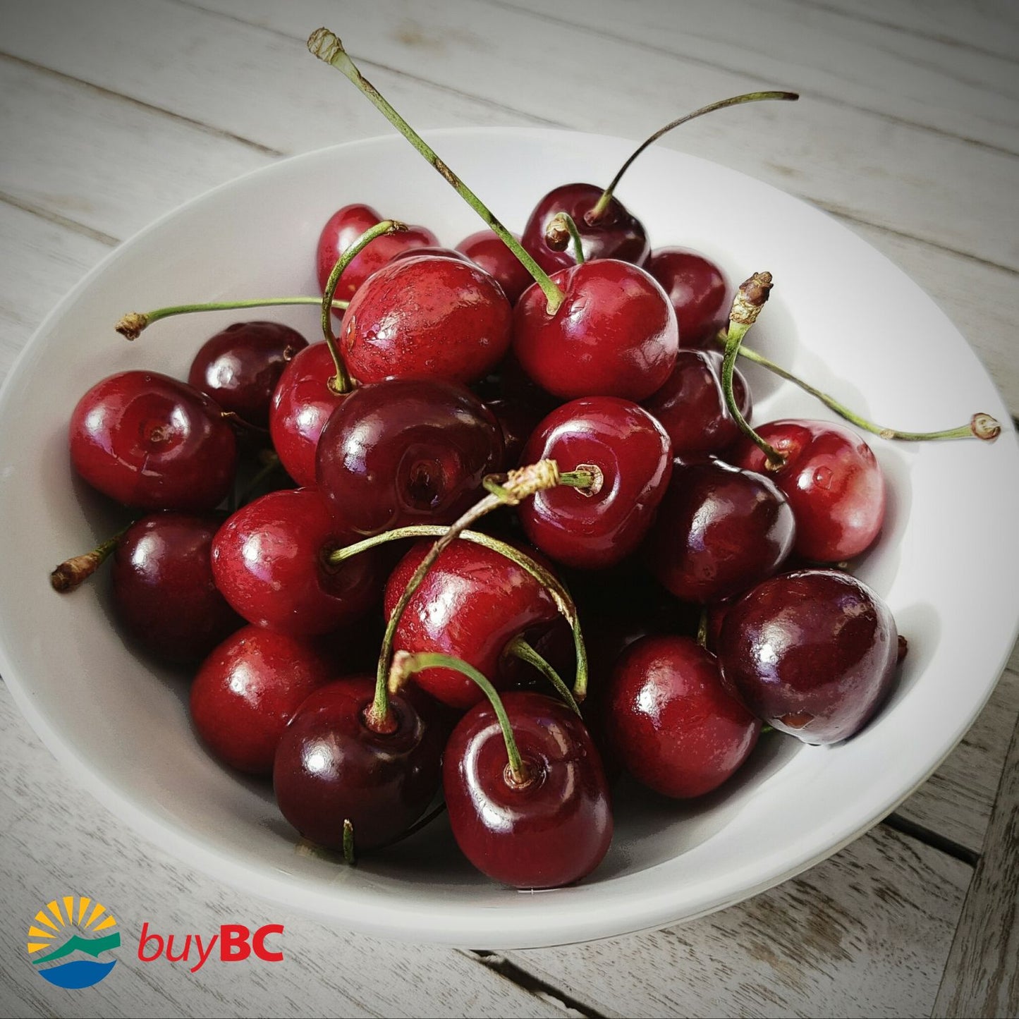Certified Organic BC Cherries