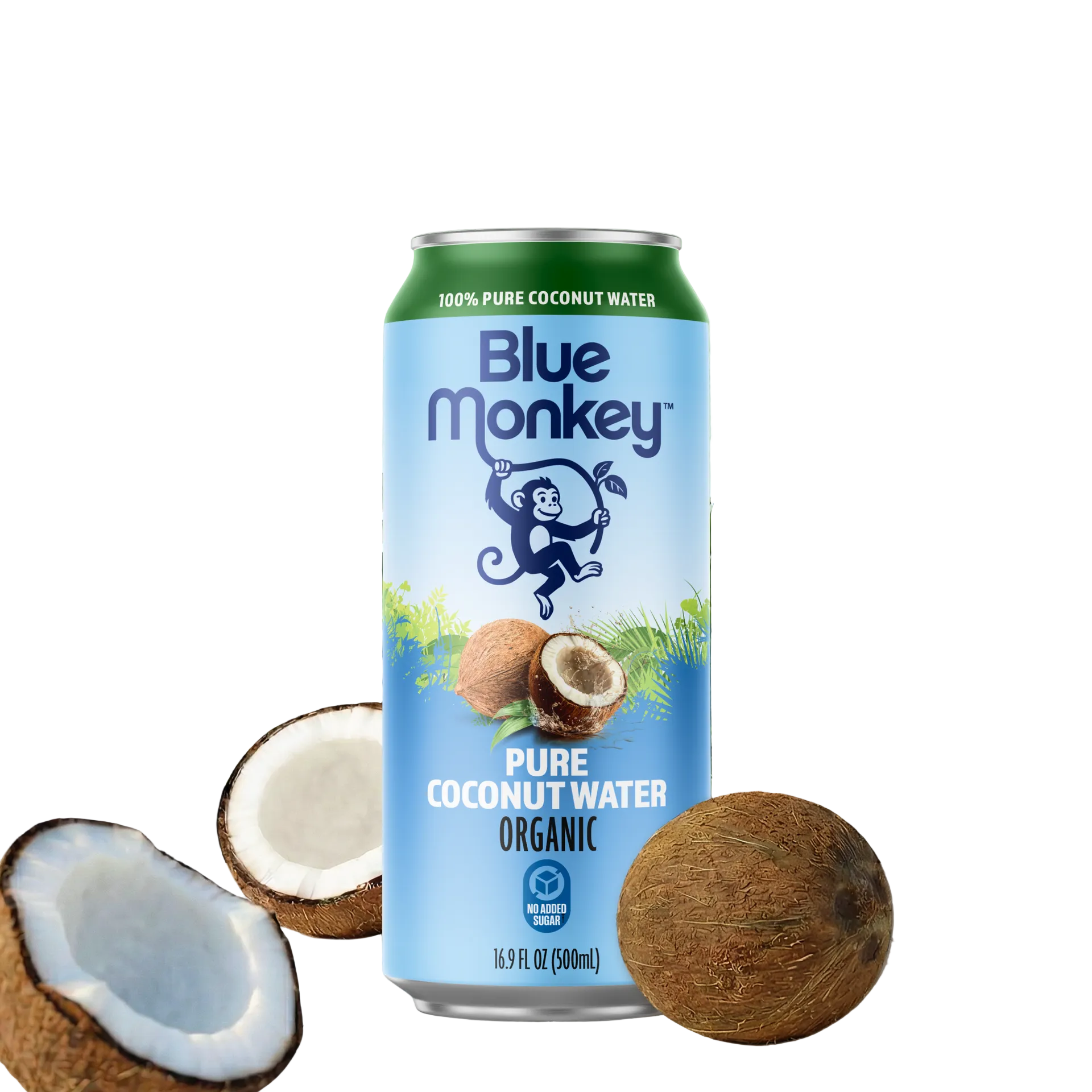 Blue Monkey pure coconut water can with coconuts and greenery on a light green background