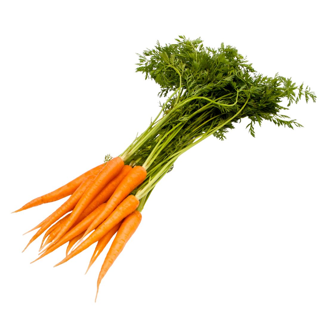 Certified Organic Carrots - Bunched (Each approx 5 - 8 pcs) - Lifestyle Markets