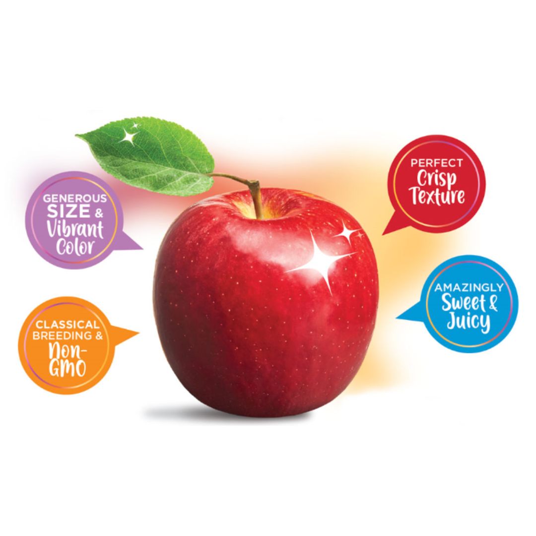 Certified Organic Cosmic Crisp Apples