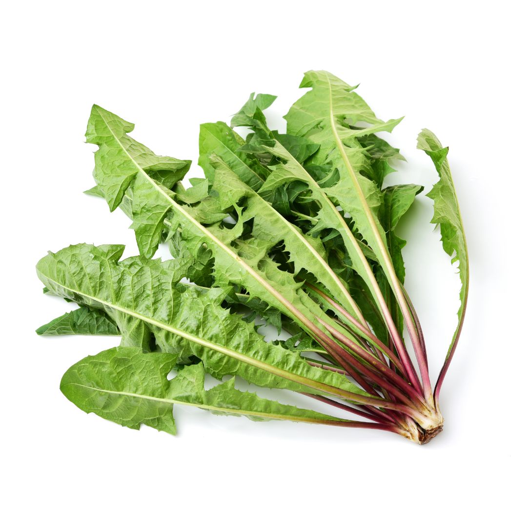 Certified Organic Dandelion Greens (each) - Lifestyle Markets