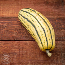 Certified Organic Delicata Squash (per kg)