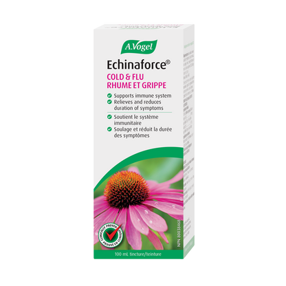A. Vogel Echinaforce Tincture - Lifestyle Markets