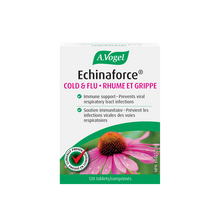 A. Vogel Echinaforce Tablets (120 Tabs)