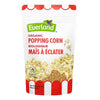 Everland Organic Popcorn (681g)