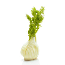 Certified Organic Fennel (each) - Lifestyle Markets