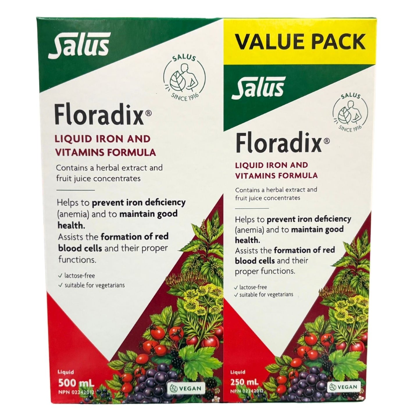 Salus Floradix Liquid Iron Formula DUO (500+250ml)