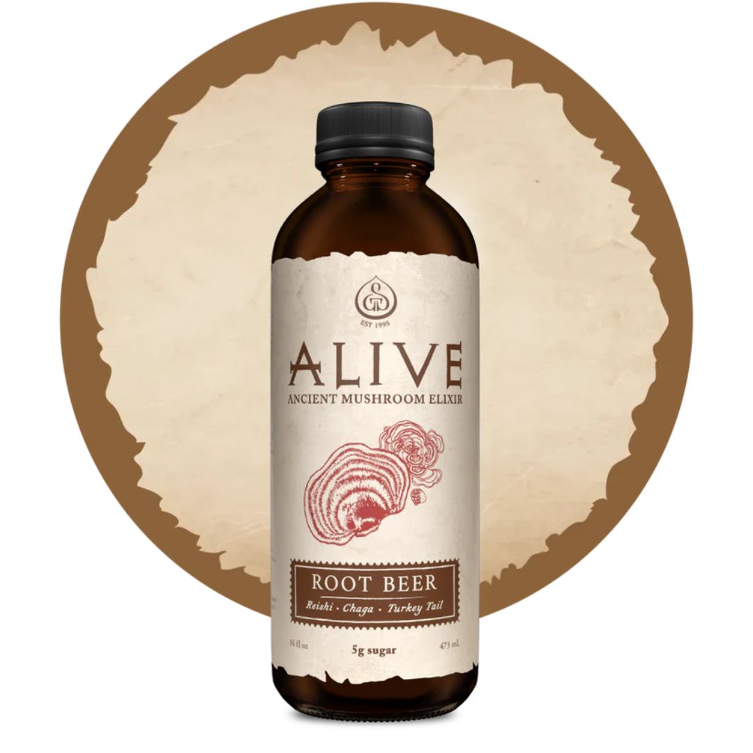 Alive Roots GT's Alive - Root Beer (480ml) – Lifestyle Markets