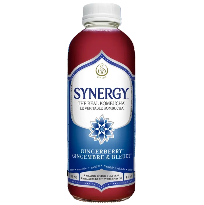 GT's Kombucha - Gingerberry (480ml)