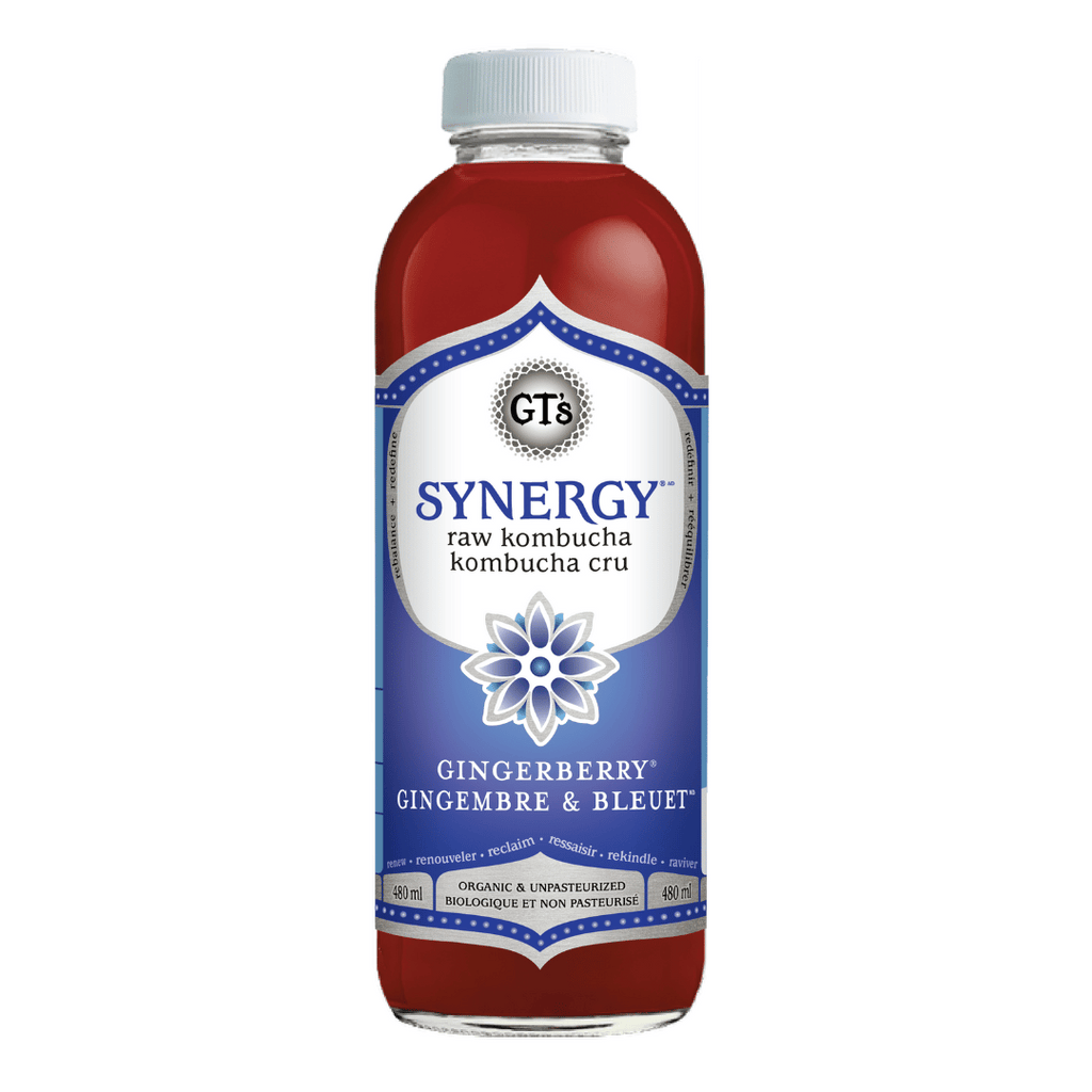 GT's Kombucha - Gingerberry (480ml)