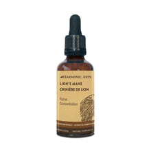Harmonic Arts Lion's Mane Tincture (100ml)