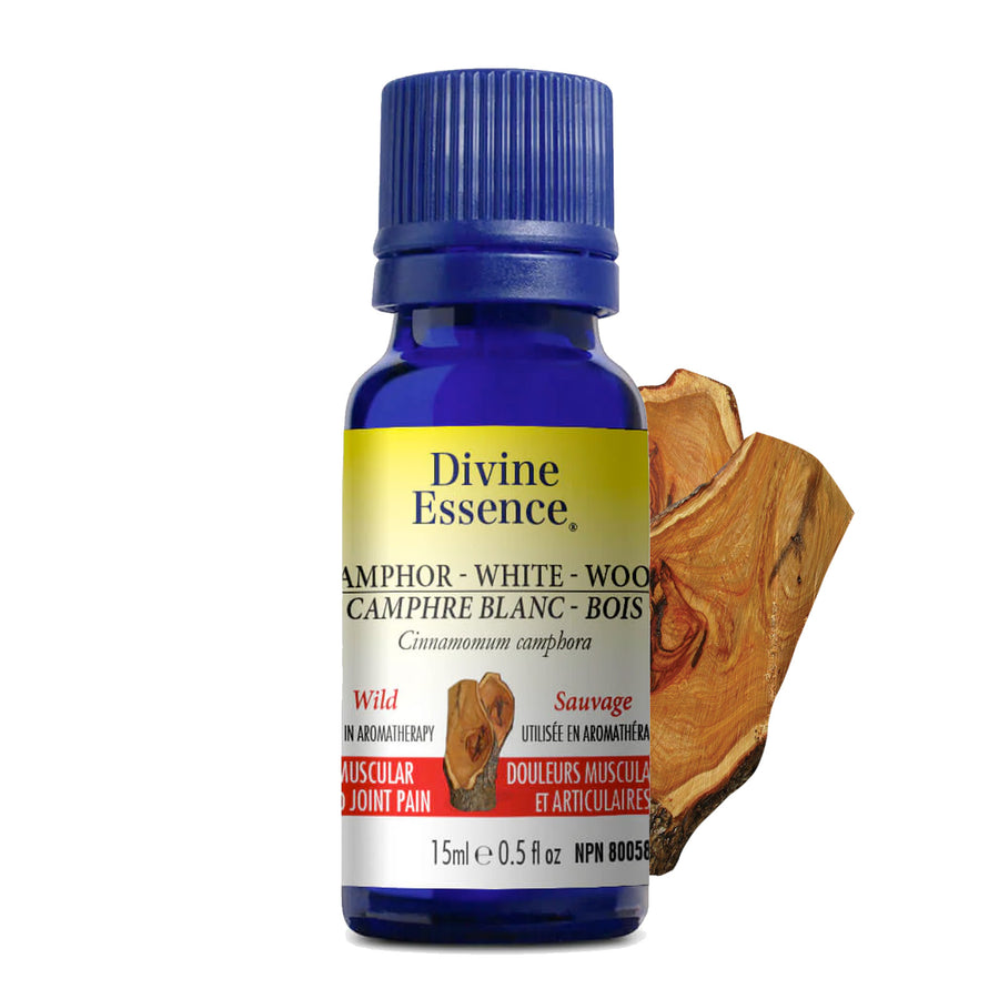 Divine Essence Camphor White Wood Oil (15ml)