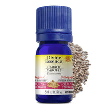 Divine Essence Organic Carrot Oil (5ml)